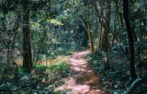 Cung đường đi bộ Olle Trail ven biển tại Jeju