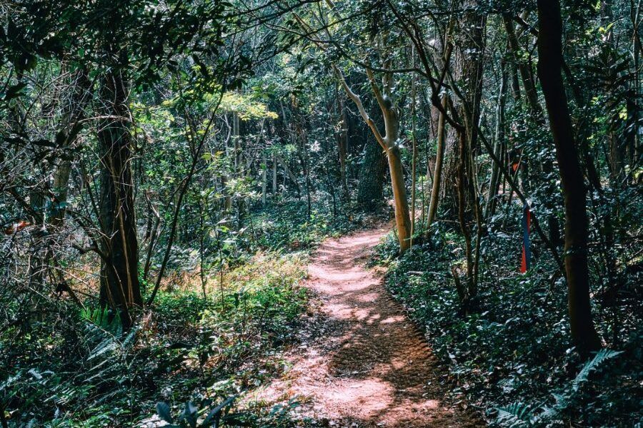 Cung đường đi bộ Olle Trail ven biển tại Jeju