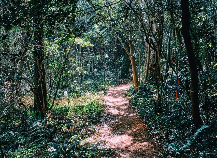 Cung đường đi bộ Olle Trail ven biển tại Jeju