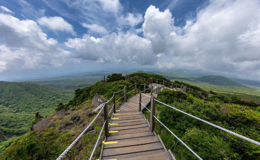 Cầu thang gỗ dọc cung đường Yeongsil Trail, công viên Hallasan, Jeju
