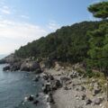 Con đường đi bộ ven biển trên đảo Dongbaek, Busan