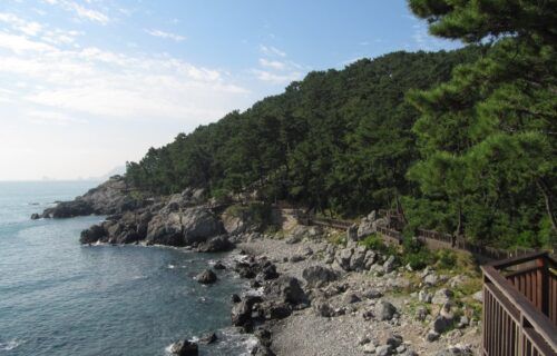 Con đường đi bộ ven biển trên đảo Dongbaek, Busan