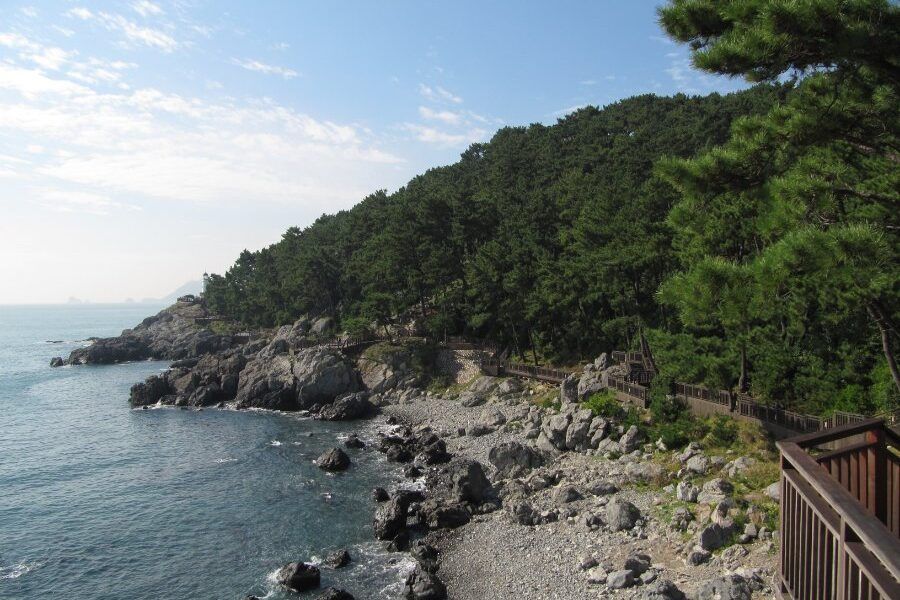Con đường đi bộ ven biển trên đảo Dongbaek, Busan