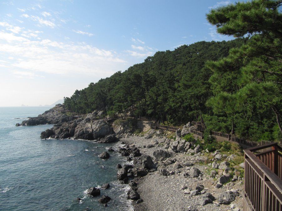 Con đường đi bộ ven biển trên đảo Dongbaek, Busan
