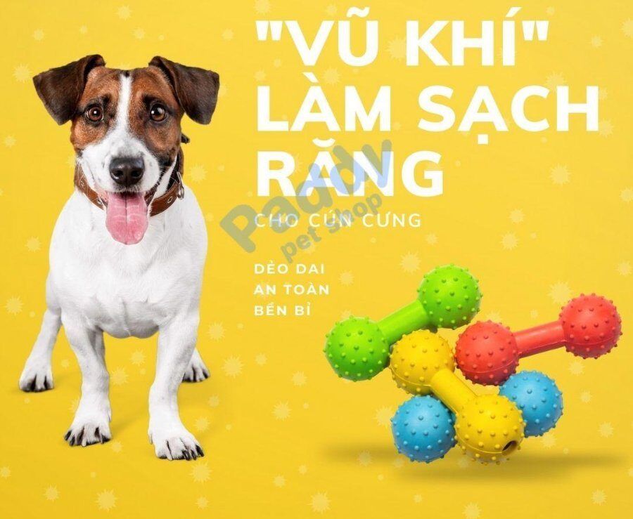 Hình ảnh sản phẩm Đồ Chơi Cho Chó Tạ Cao Su Chuông TPet Nhai Gặm Sạch Răng