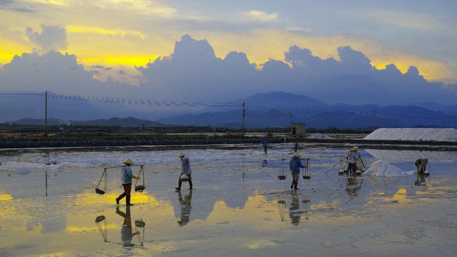 Đồng muối Hòn Khói Ninh Hòa với diêm dân thu hoạch muối