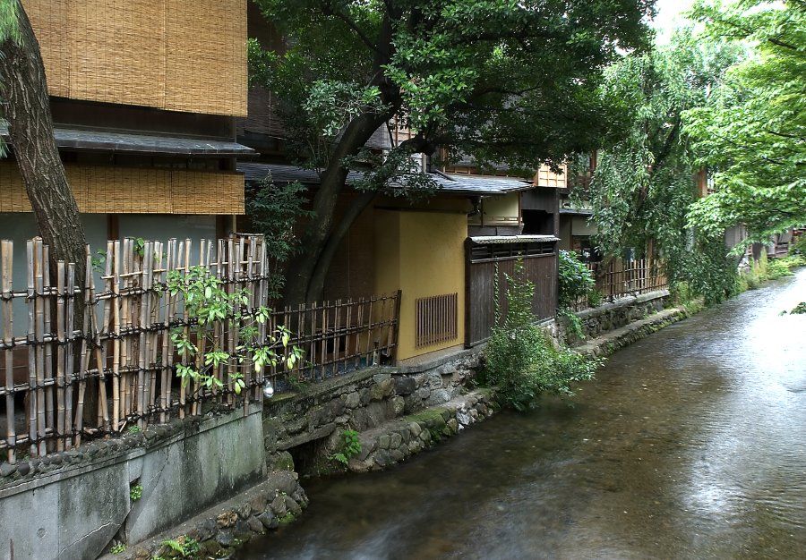 Kênh đào Shirakawa với hàng cây anh đào ven bờ tại Gion Kyoto