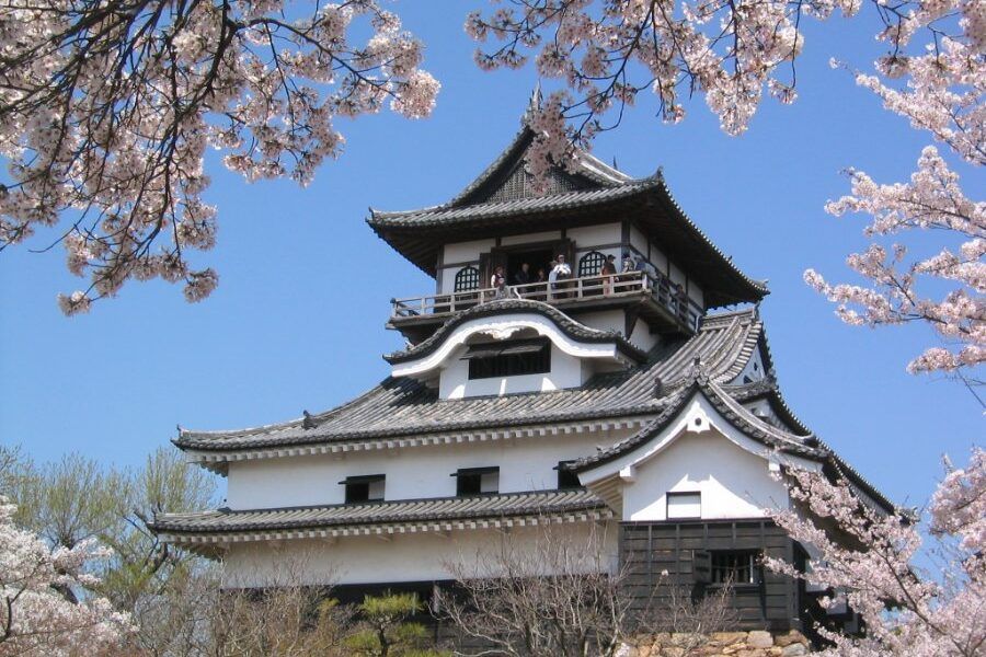 Toàn cảnh lâu đài Inuyama nằm trên vách đá bên bờ sông Kiso