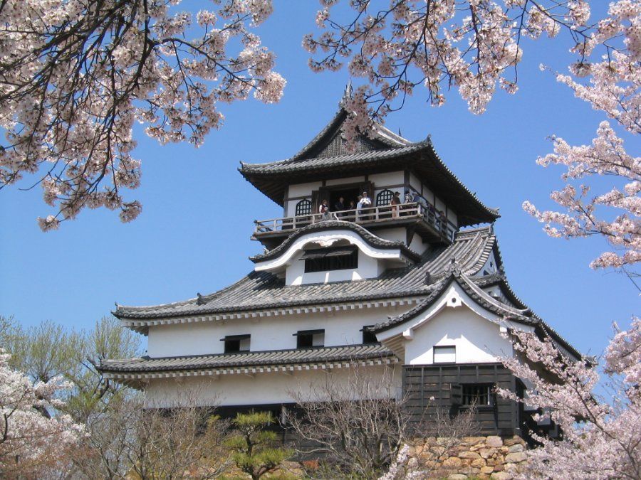 Toàn cảnh lâu đài Inuyama nằm trên vách đá bên bờ sông Kiso
