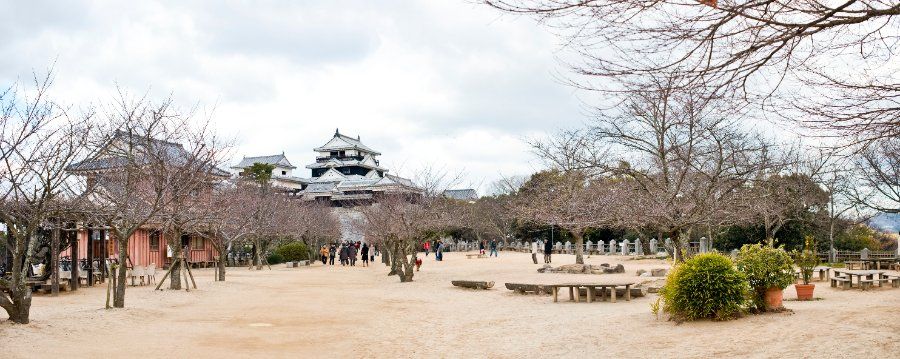 Toàn cảnh panorama khuôn viên lâu đài Matsuyama nhìn từ trên núi Katsuyama