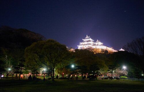 Toàn cảnh lâu đài Wakayama với tháp chính trên đồi Torafusuyama