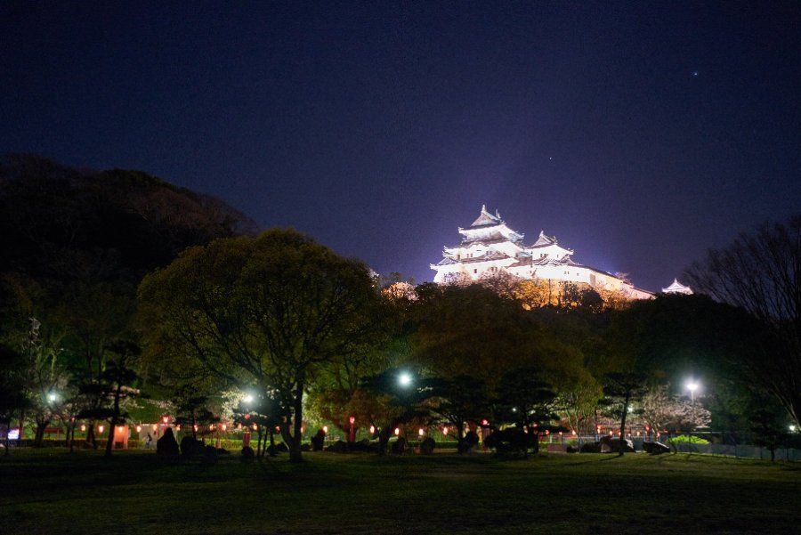 Toàn cảnh lâu đài Wakayama với tháp chính trên đồi Torafusuyama