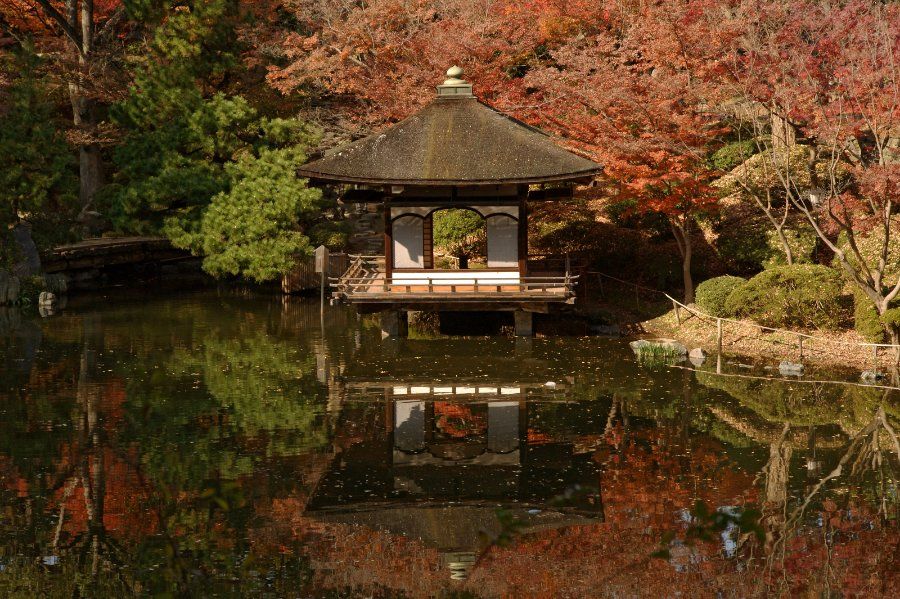 Vườn cảnh Nishinomaru truyền thống bên trong khuôn viên lâu đài Wakayama