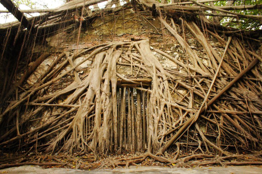 Nhà Cây An Bình Anping Tree House ở Đài Nam